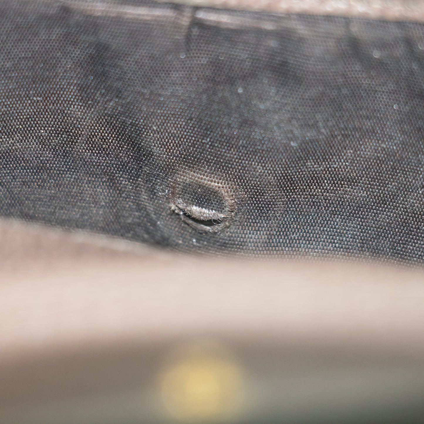 Gucci Brown Ophidia GG Supreme Marmont Sherry Line Compact Wallet #2062