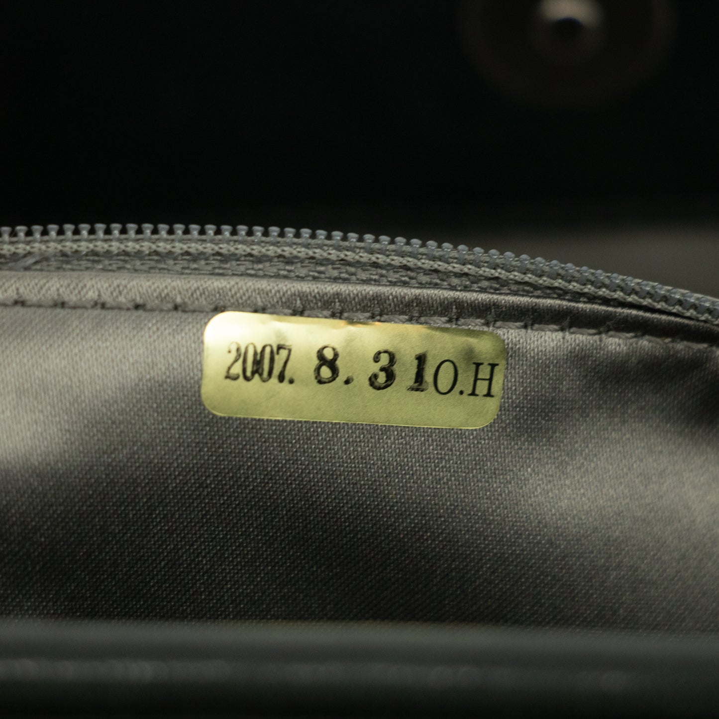 Chanel Lambskin Litz One Handle Shoulder Bag #2305