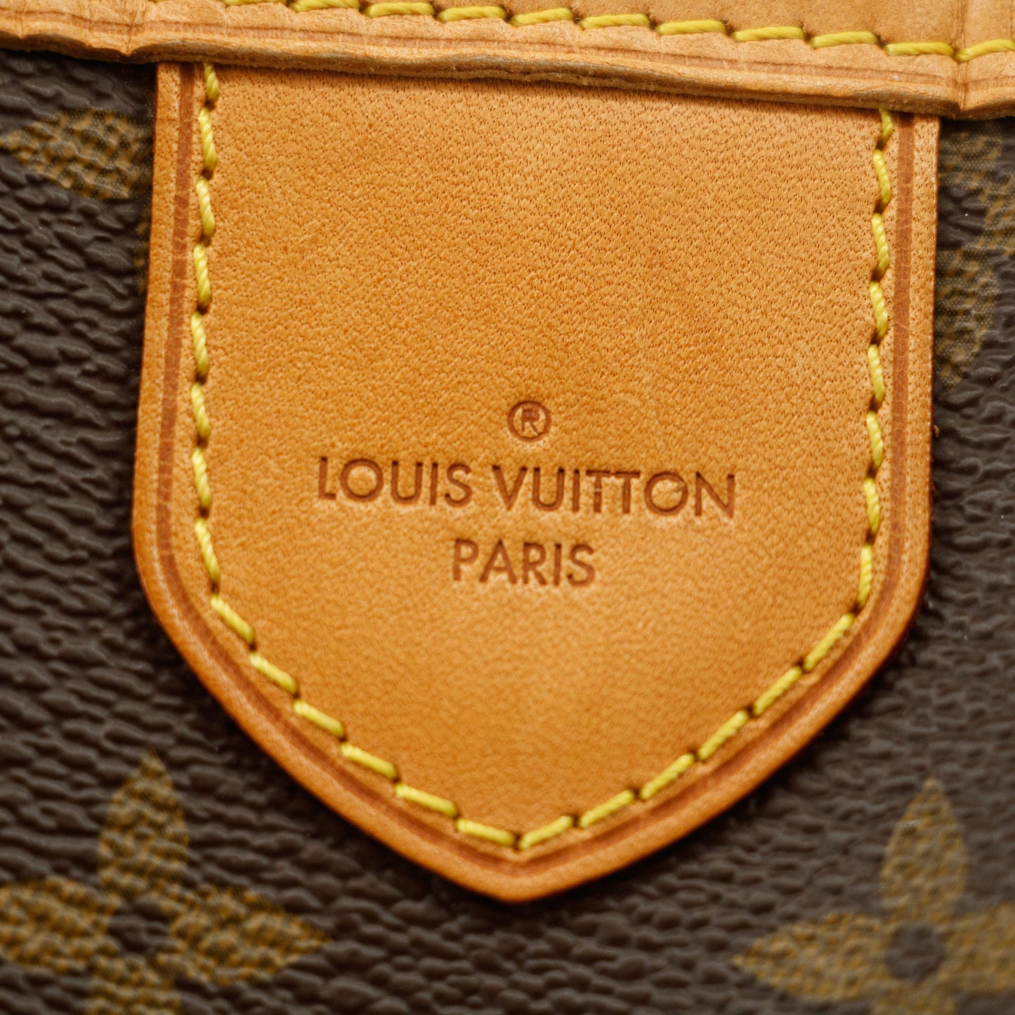 Louis Vuitton Monogram Delightful PM #2593
