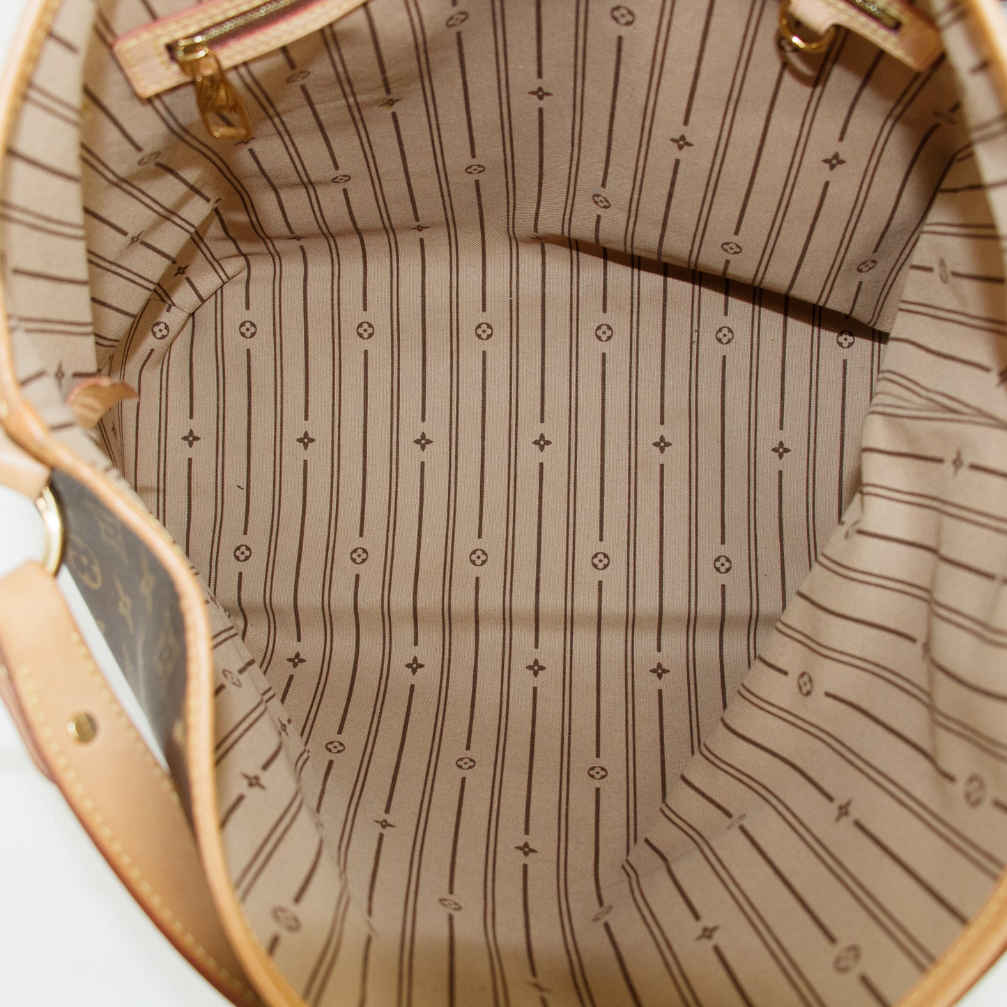 Louis Vuitton Monogram Delightful PM #2593