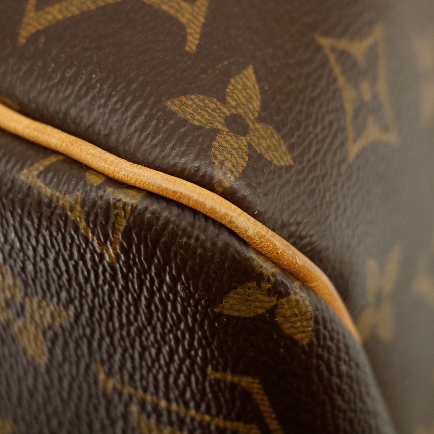 Louis Vuitton Monogram Delightful PM #2593