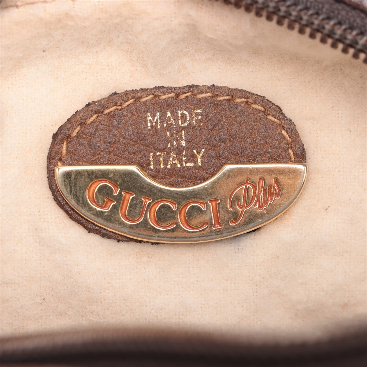 Gucci GG Canvas Plus Crossbody Bag #1731