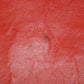Celine Leather Red Luggage Micro Tote #5235